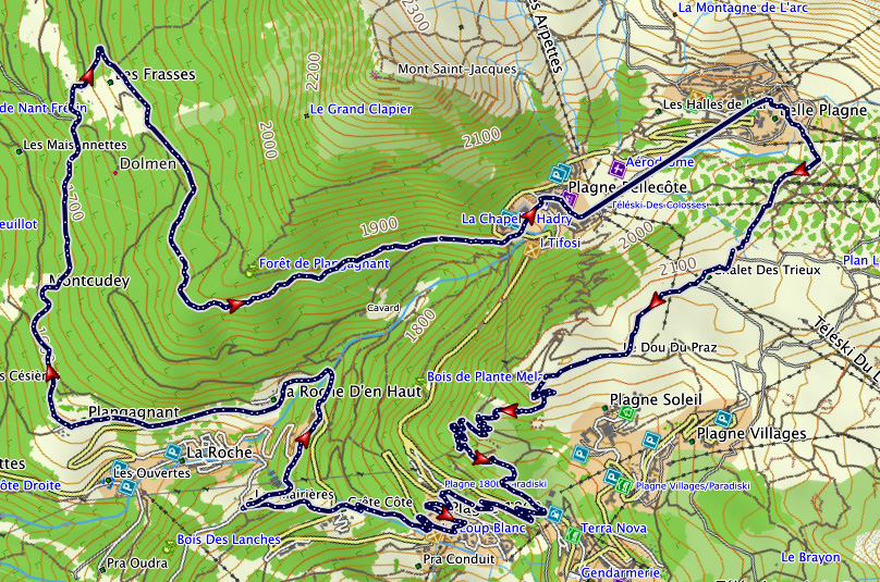Carte Google Maps